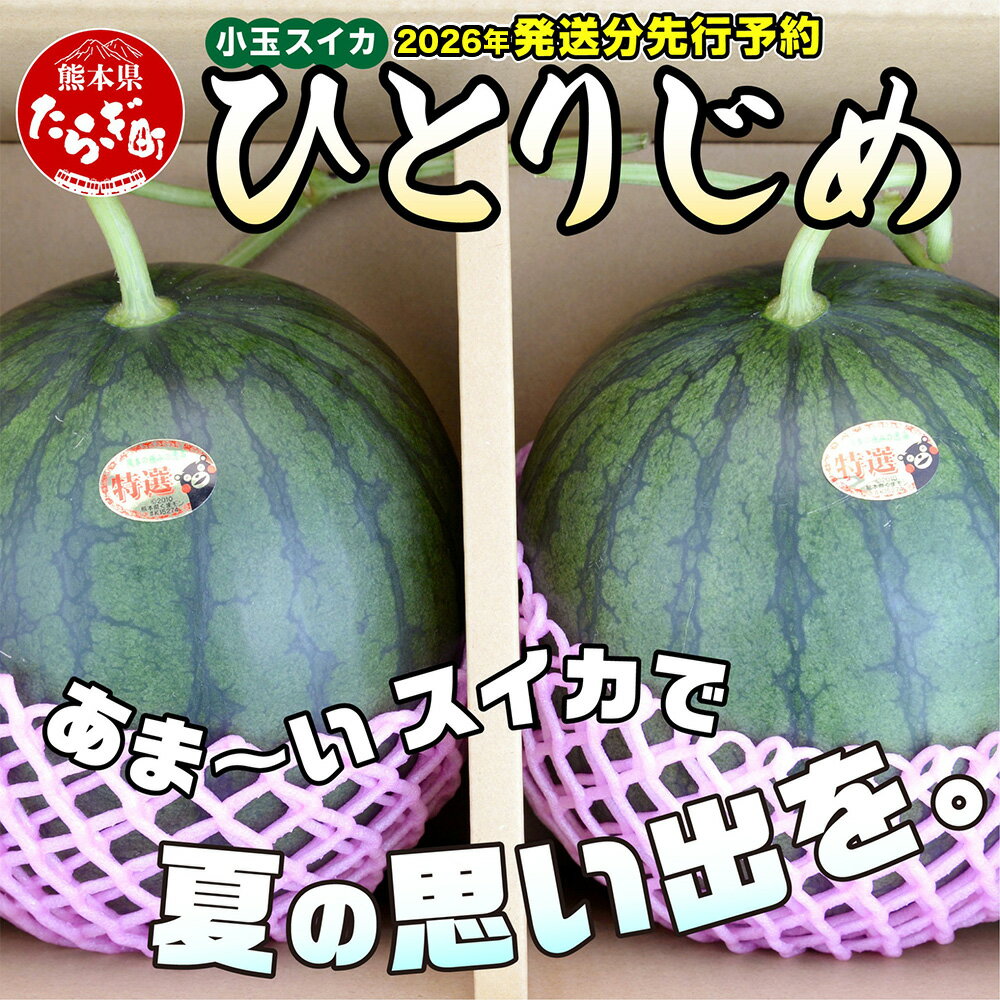 【ふるさと納税】《先行予約》5月上旬～順次発送 熊本県産 小玉 スイカ ひとりじめ 2玉 合計5～6kg すいか 果物 フルーツ 甘い 熊本県 多良木町 ひとりじめ かわいい 送料無料 《2026年5月上旬より順次発送》 サムネイル2