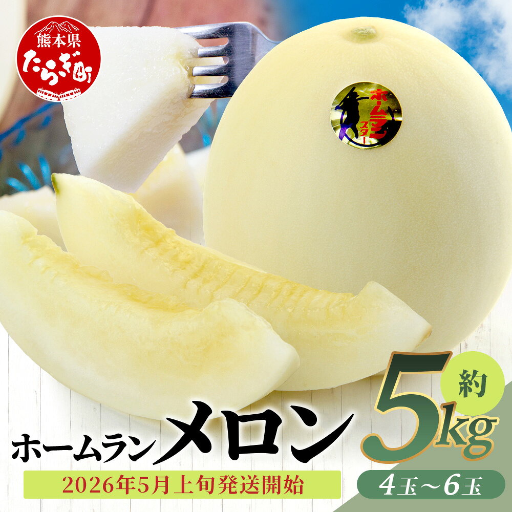 ≪2026年 先行予約≫ 熊本県産 ホームランメロン 4～6玉 合計約5kg 糖度15～16度 メロン ホームラン 果物 フルーツ 甘い さわやか 熊本県 多良木町 送料無料 【2026年5月上旬より順次発送】