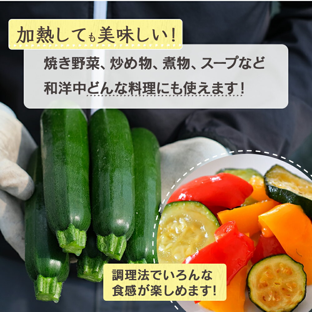 【ふるさと納税】中神農園の ズッキーニ 約2kg (10～12本) 【11月上旬～5月下旬発送】産地直送 野菜 夏 やさい 煮る 炒める 生食 ミネラル ビタミンC ずっきーに 新鮮 甘み 酸味 用途多様 国産 九州 熊本県 多良木町 送料無料 - 画像3