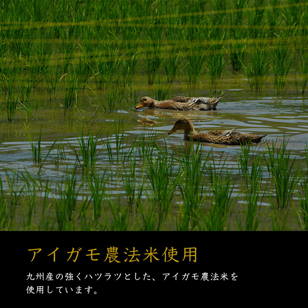 【ふるさと納税】球磨焼酎 球磨の泉 1800ml 飲み比べ 2本セット （減圧25度・常圧25度） 常圧 減圧 焼酎 酒 お酒 米麹 米 お米 飲み比べ 国産 熊本県産 球磨 コク さっぱり 熊本県 多良木町 送料無料 サムネイル3