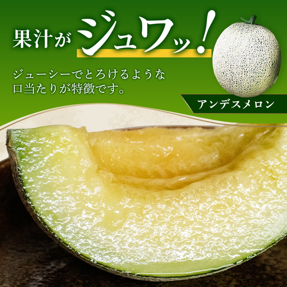 【ふるさと納税】＼2026年発送分 先行予約／熊本県産 ホームランメロン アンデスメロン 食べ比べ 総合計 約5kg 計4〜5玉※令和8年5月上旬～順次発送※ メロン 果物 フルーツ 詰め合わせ 甘い 糖度14度以上 さわやかな 常温 送料無料 サムネイル2