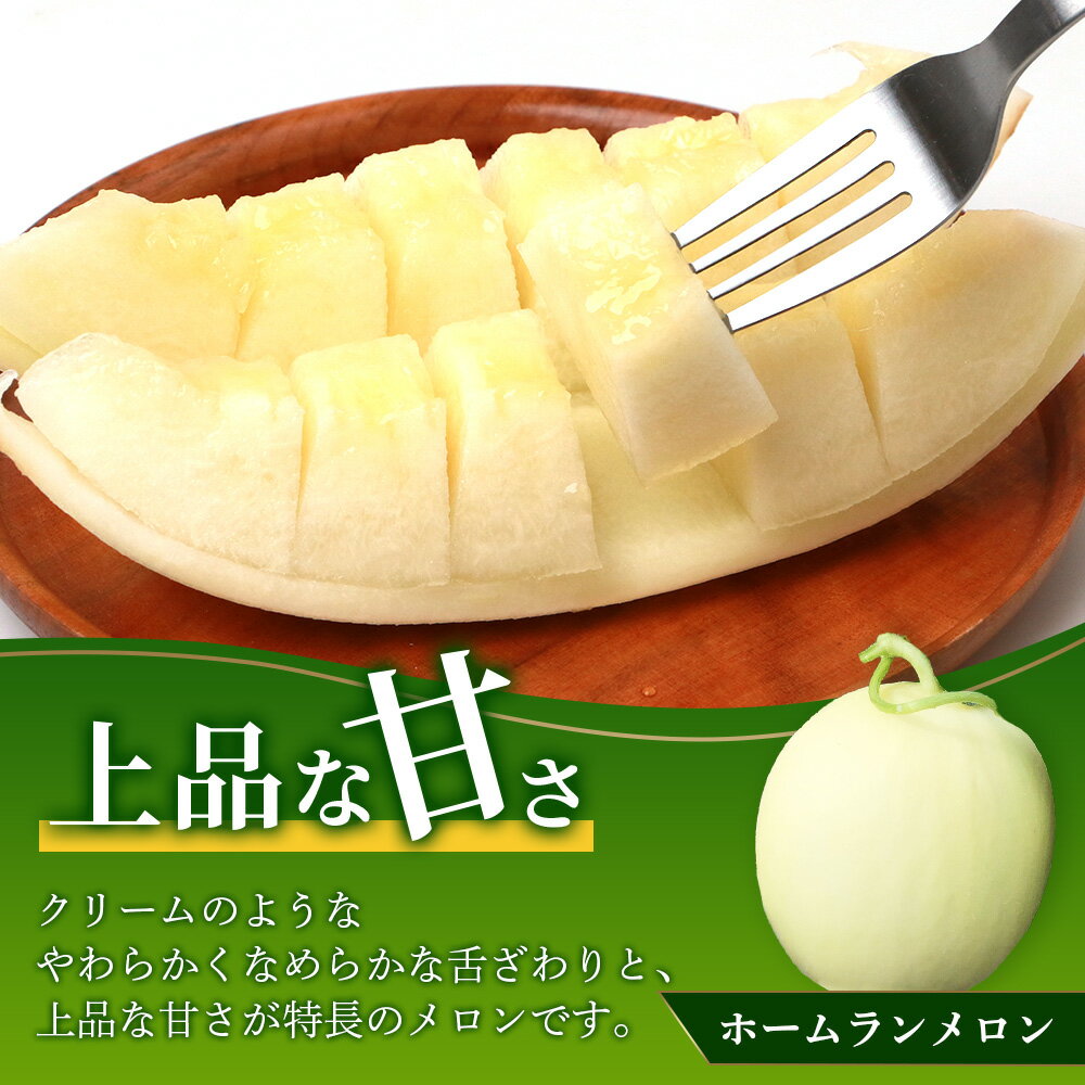 【ふるさと納税】＼2026年発送分 先行予約／熊本県産 ホームランメロン アンデスメロン 食べ比べ 総合計 約5kg 計4〜5玉※令和8年5月上旬～順次発送※ メロン 果物 フルーツ 詰め合わせ 甘い 糖度14度以上 さわやかな 常温 送料無料 サムネイル3