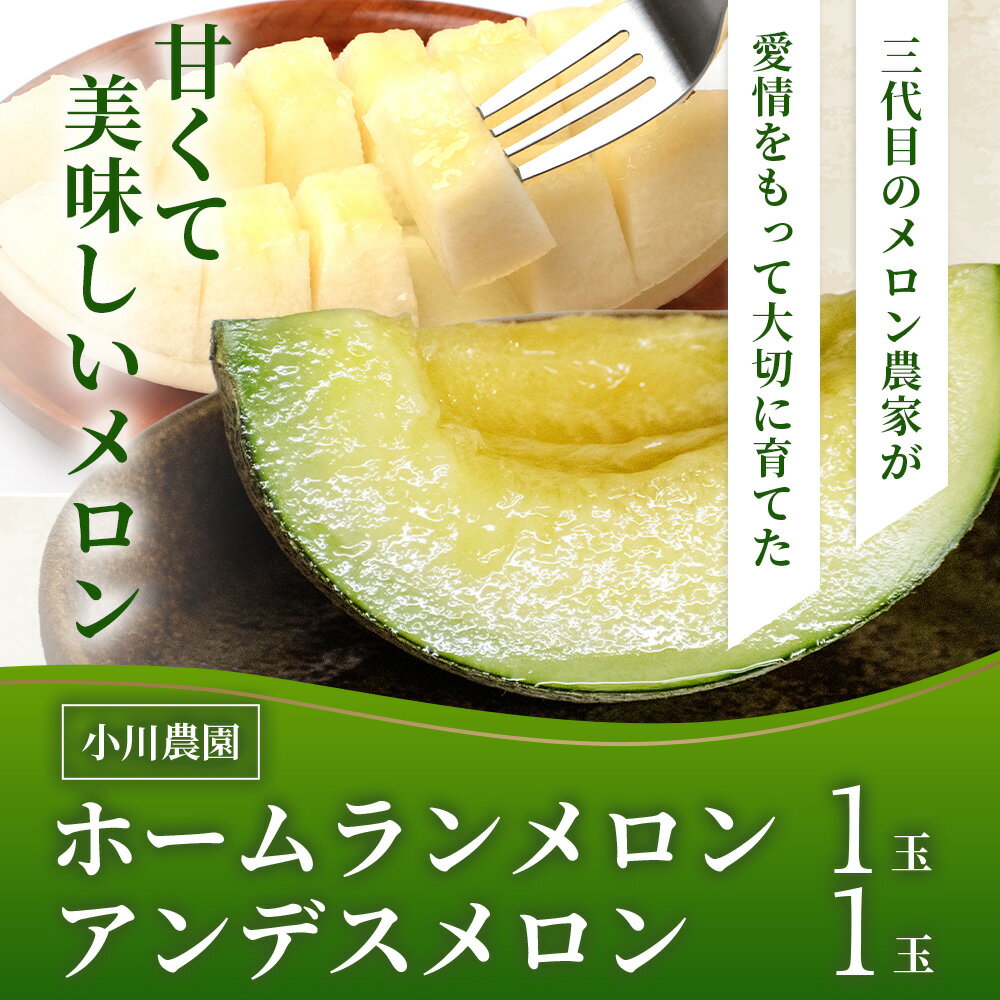 【ふるさと納税】＼2026年発送分 先行予約／熊本県産 ホームランメロン アンデスメロン 詰め合わせ 食べ比べ 総合計 約2.5kg以上 計2玉 ※令和8年5月上旬から順次発送※メロン 果物 フルーツ 甘い ジューシー 糖度14度以上 さわやか 甘い 送料無料 サムネイル3