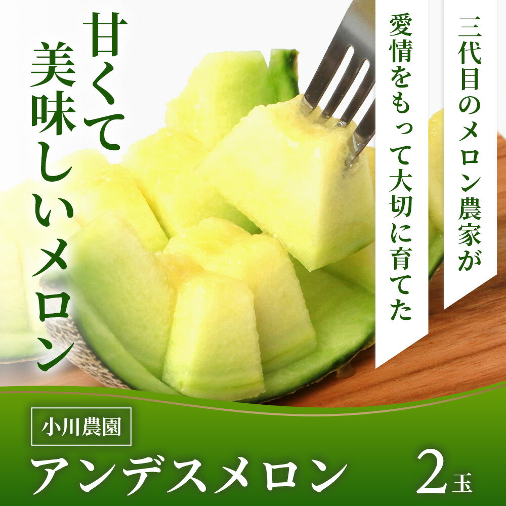 【ふるさと納税】＼2026年発送分 先行予約／ 熊本県産 アンデスメロン 2玉 合計 約2.5kg以上 【2026年5月上旬～順次発送】 メロン めろん アンデス 糖度 果物 フルーツ 甘い 熊本県 多良木町 送料無料 サムネイル3