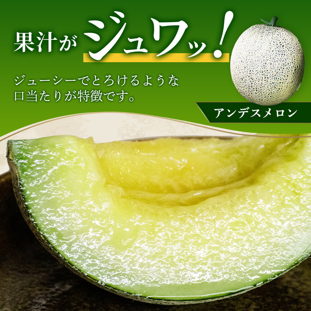 【ふるさと納税】＼2026年発送分 先行予約／ 熊本県産 アンデスメロン 合計約4~5玉 約5kg ※令和8年5月上旬～発送※ 先行予約 青肉 メロン 詰め合わせ めろん アンデスメロン 糖度 果物 フルーツ 詰め合わせ 甘い 熊本県 多良木町 送料無料 サムネイル2