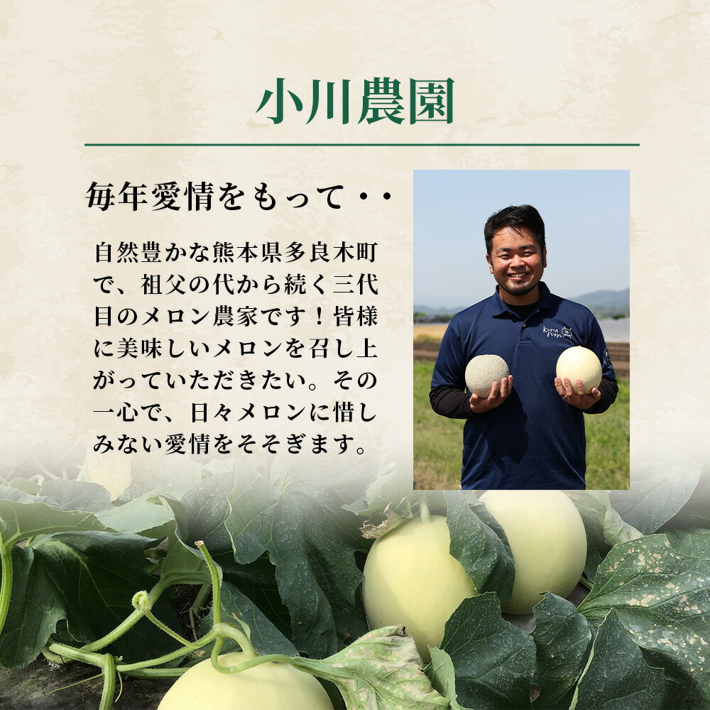 【ふるさと納税】＼2026年発送分 先行予約／ 熊本県産 アンデスメロン 合計約4~5玉 約5kg ※令和8年5月上旬～発送※ 先行予約 青肉 メロン 詰め合わせ めろん アンデスメロン 糖度 果物 フルーツ 詰め合わせ 甘い 熊本県 多良木町 送料無料 サムネイル3