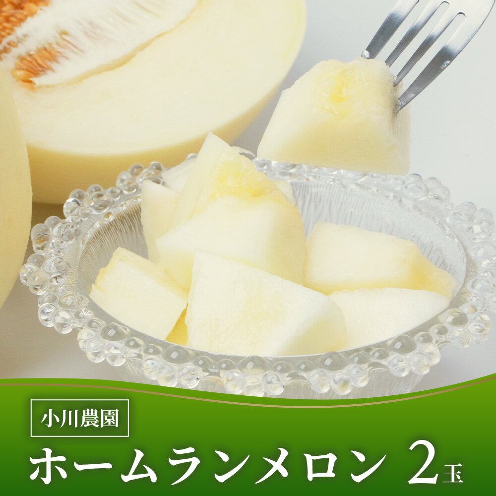 【ふるさと納税】＼2026年発送分 先行予約／ 熊本県産 ホームランメロン 2玉 合計 約2.5kg以上 【2026年5月上旬～順次発送】 メロン めろん ホームラン 果物 フルーツ 甘い 熊本県 多良木町 送料無料 サムネイル3