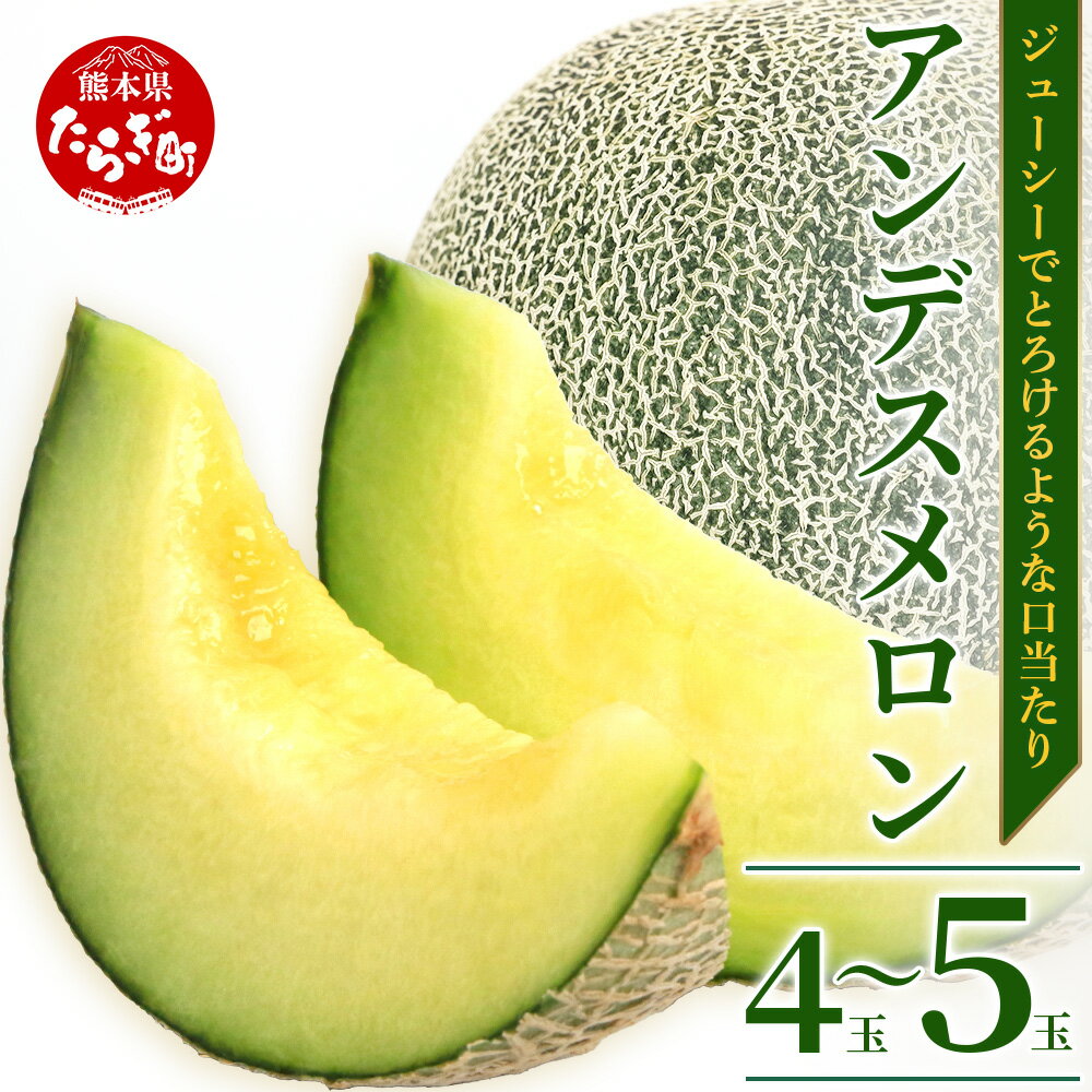 ＼2026年発送分 先行予約／ 熊本県産 アンデスメロン 合計約4~5玉 約5kg ※令和8年5月上旬～発送※ 先行予約 青肉 メロン 詰め合わせ めろん アンデスメロン 糖度 果物 フルーツ 詰め合わせ 甘い 熊本県 多良木町 送料無料