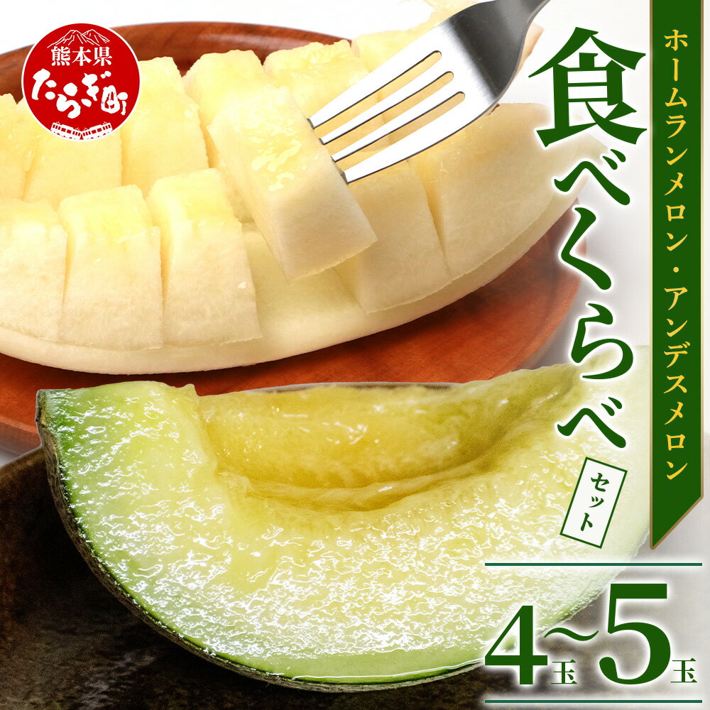 ＼2026年発送分 先行予約／熊本県産 ホームランメロン アンデスメロン 食べ比べ 総合計 約5kg 計4〜5玉※令和8年5月上旬～順次発送※ メロン 果物 フルーツ 詰め合わせ 甘い 糖度14度以上 さわやかな 常温 送料無料