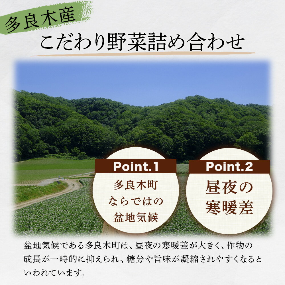 【ふるさと納税】回数選べる 定期便 ≪熊本の大地の恵み ≫ 旬のこだわり野菜詰め合わせ 8〜12品 1回／3回／6回／12回 野菜 獲れたて 直送 旬 熊本県 多良木町 やさい 季節の詰め合わせ 厳選 お試し 産地 直送 国産 季節 野菜 家族 ファミリー 多良木町 送料無料 - 画像3