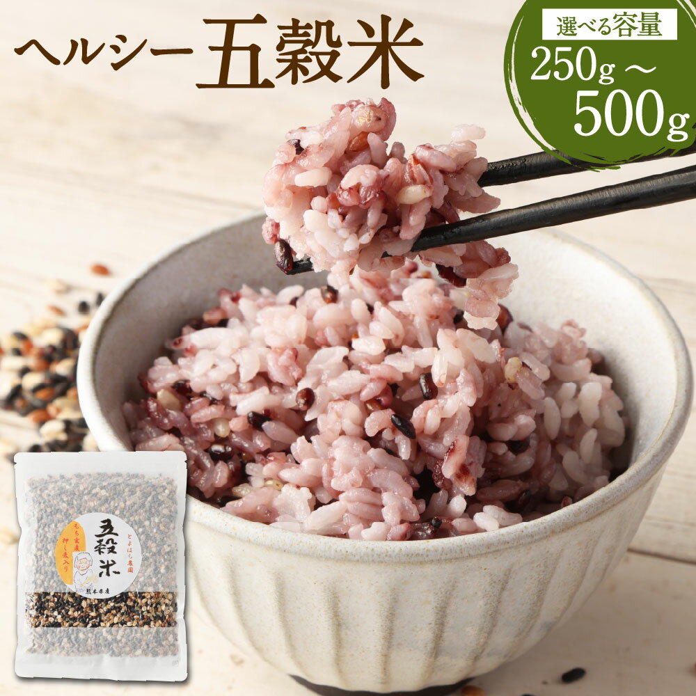 【選べる容量】ヘルシー 五穀米 250g／500g（250×2パック） 2500円 〜 5000円 国産 熊本県産 黒米 もち皮付き押し麦 うるち玄米 もち押し麦 赤米 雑穀米 ブレンド 熊本県 湯前町 送料無料