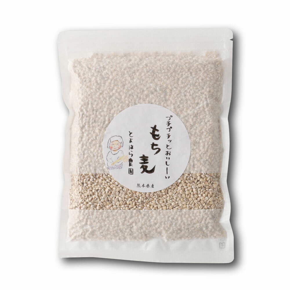 【ふるさと納税】【選べる容量】ご飯にもサラダにも！ もち丸麦 350g／500g 麦 もち麦 とよはら農園 雑穀 熊本県産 九州産 国産 熊本県 湯前町 送料無料 - 画像3