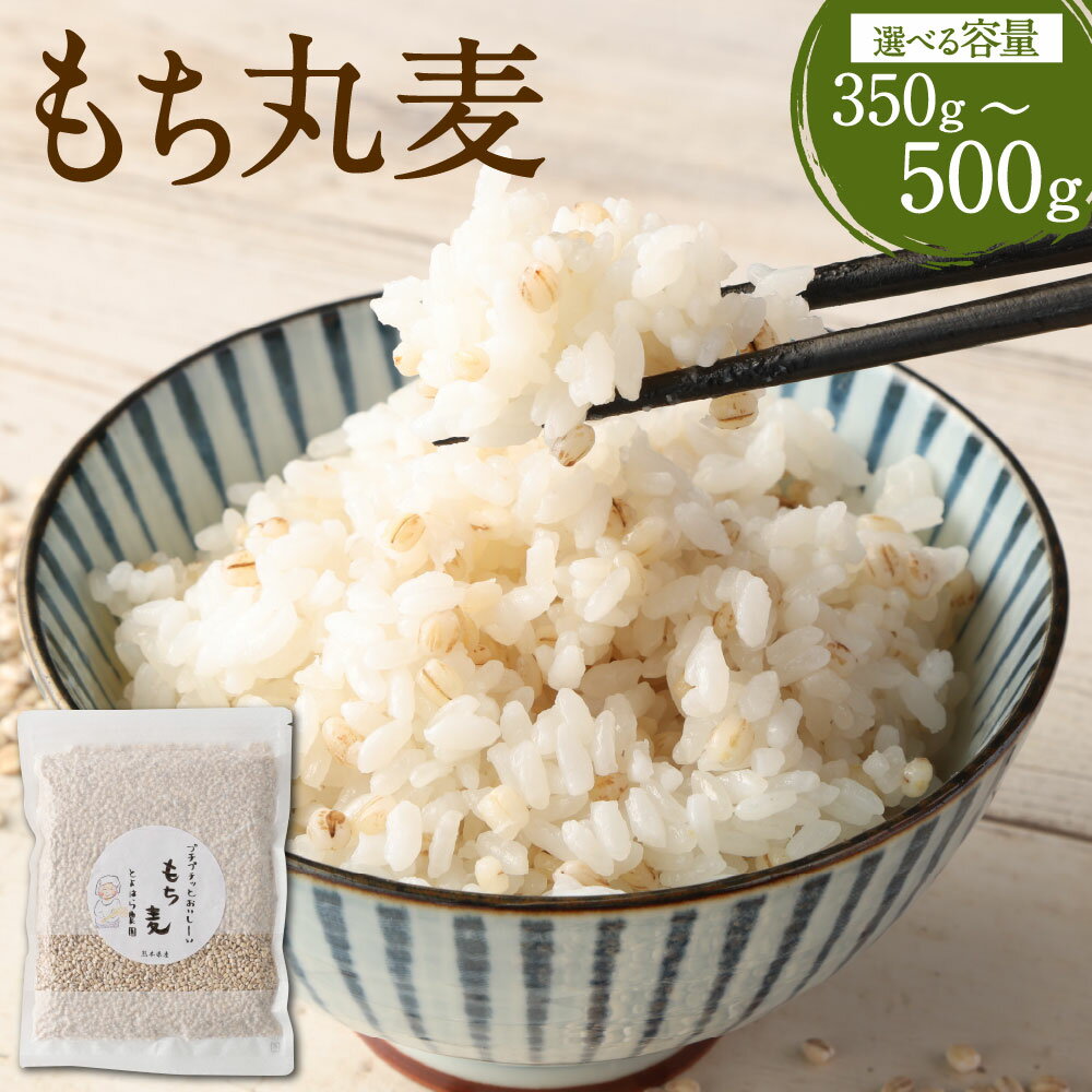 【選べる容量】ご飯にもサラダにも！ もち丸麦 350g／500g 麦 もち麦 とよはら農園 雑穀 熊本県産 九州産 国産 熊本県 湯前町 送料無料