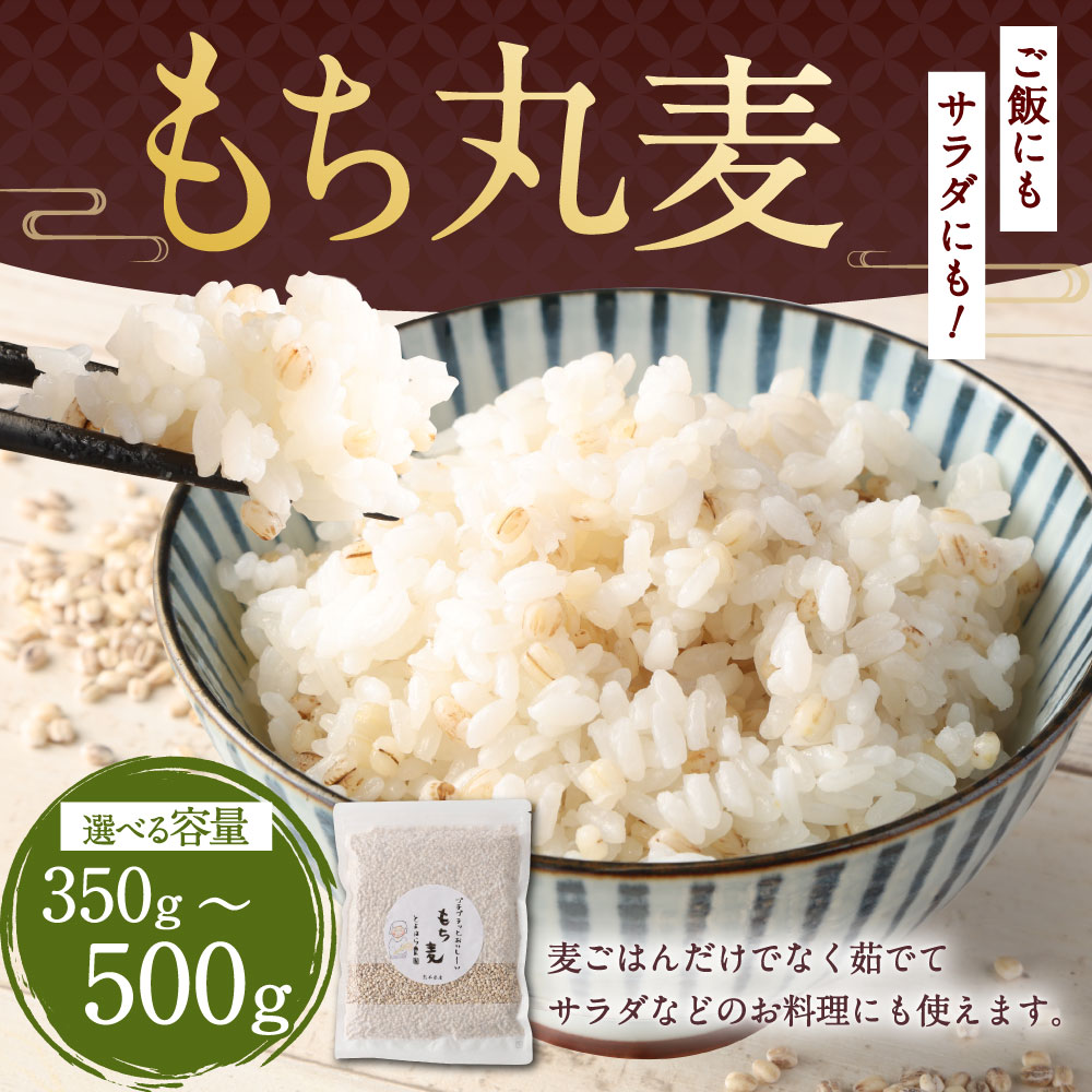 【ふるさと納税】【選べる容量】ご飯にもサラダにも！ もち丸麦 350g／500g 麦 もち麦 とよはら農園 雑穀 熊本県産 九州産 国産 熊本県 湯前町 送料無料 - 画像2
