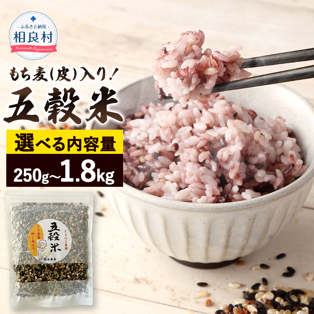 〈選べる容量〉 もち麦（皮）入り！ 五穀米 250g 500g(250g×2パック) 1.8kg(450g×4パック) 国産 熊本県産 黒米 もち皮付き押し麦 うるち玄米 もち押し麦 赤米 雑穀米 雑穀 押し麦 玄米 もち麦 食物繊維 相良村 送料無料