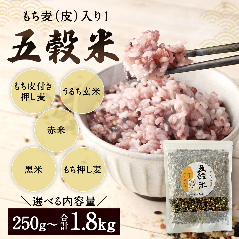 【ふるさと納税】〈選べる容量〉 もち麦（皮）入り！ 五穀米 250g 500g(250g×2パック) 1.8kg(450g×4パック) 国産 熊本県産 黒米 もち皮付き押し麦 うるち玄米 もち押し麦 赤米 雑穀米 雑穀 押し麦 玄米 もち麦 食物繊維 相良村 送料無料 - 画像2