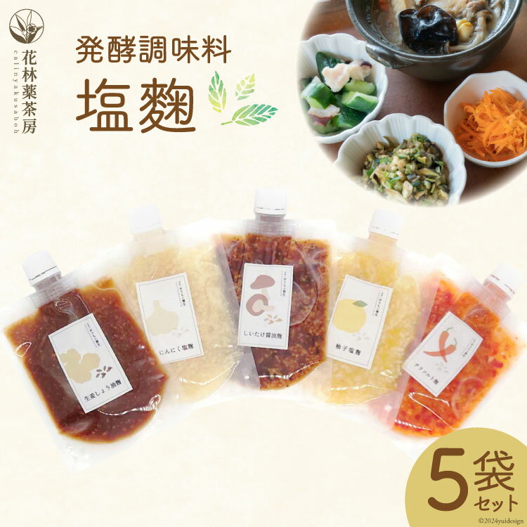 塩麹 発酵調味料塩麹 5袋 セット [花林薬茶房 熊本県 五木村 51120337] 小分け 個包装 塩こうじ 醤油麹 にんにく 生姜 ゆず 柚子 詰め合わせ