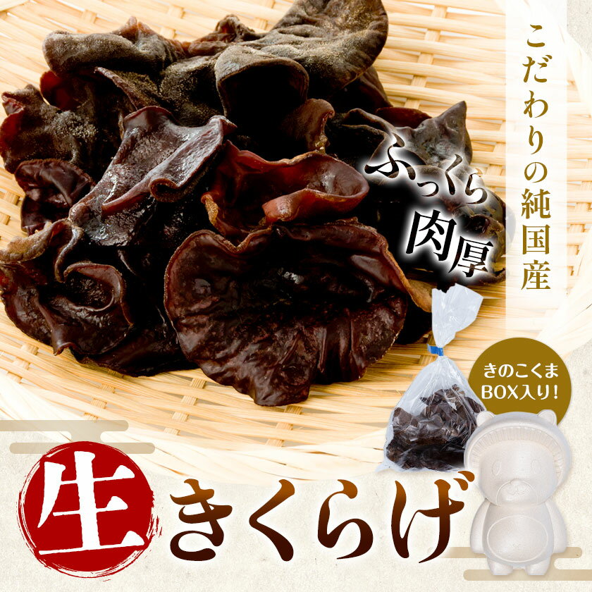 【ふるさと納税】生きくらげ 1kg 1.5kg 鷹乃産業有限会社 《30日以内に出荷予定(土日祝除く)》熊本県 球磨郡 山江村 きくらげ きのこ 野菜 - 画像2