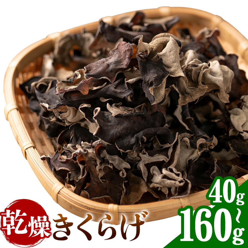 乾燥きくらげ 40g 100g 160g 鷹乃産業有限会社 《30日以内に出荷予定(土日祝除く)》熊本県 球磨郡 山江村 きくらげ きのこ 野菜
