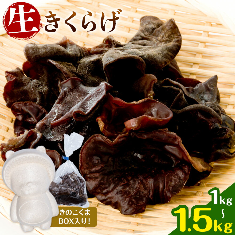 生きくらげ 1kg 1.5kg 鷹乃産業有限会社 《30日以内に出荷予定(土日祝除く)》熊本県 球磨郡 山江村 きくらげ きのこ 野菜