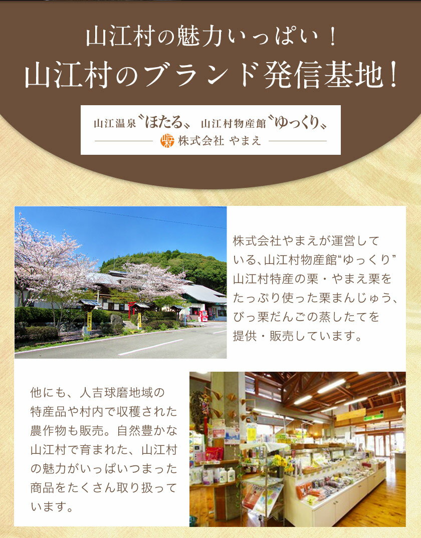 【ふるさと納税】熊本県山江村産 山江村の栗まんじゅう 株式会社 やまえ《60日以内に出荷予定(土日祝除く)》 - 画像3