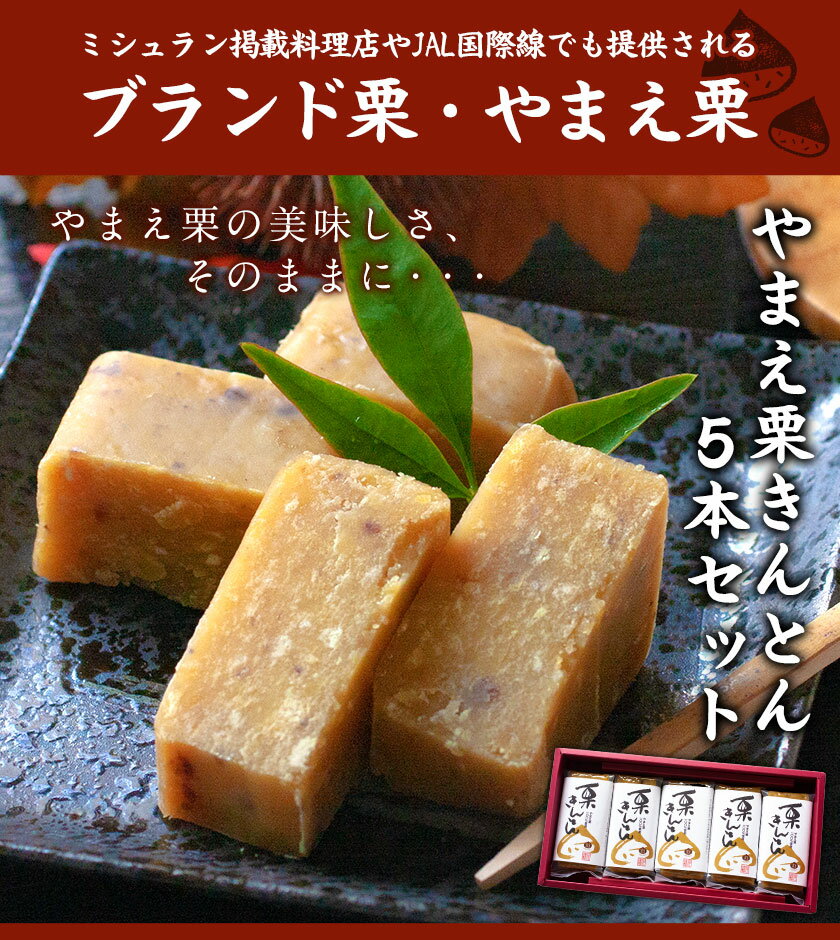 【ふるさと納税】熊本県山江村産 やまえ栗きんとん5本セット 有限会社 やまえ堂 やまえ栗 おせち 和菓子 スイーツ 栗 くり《60日以内に出荷予定(土日祝除く)》 - 画像2