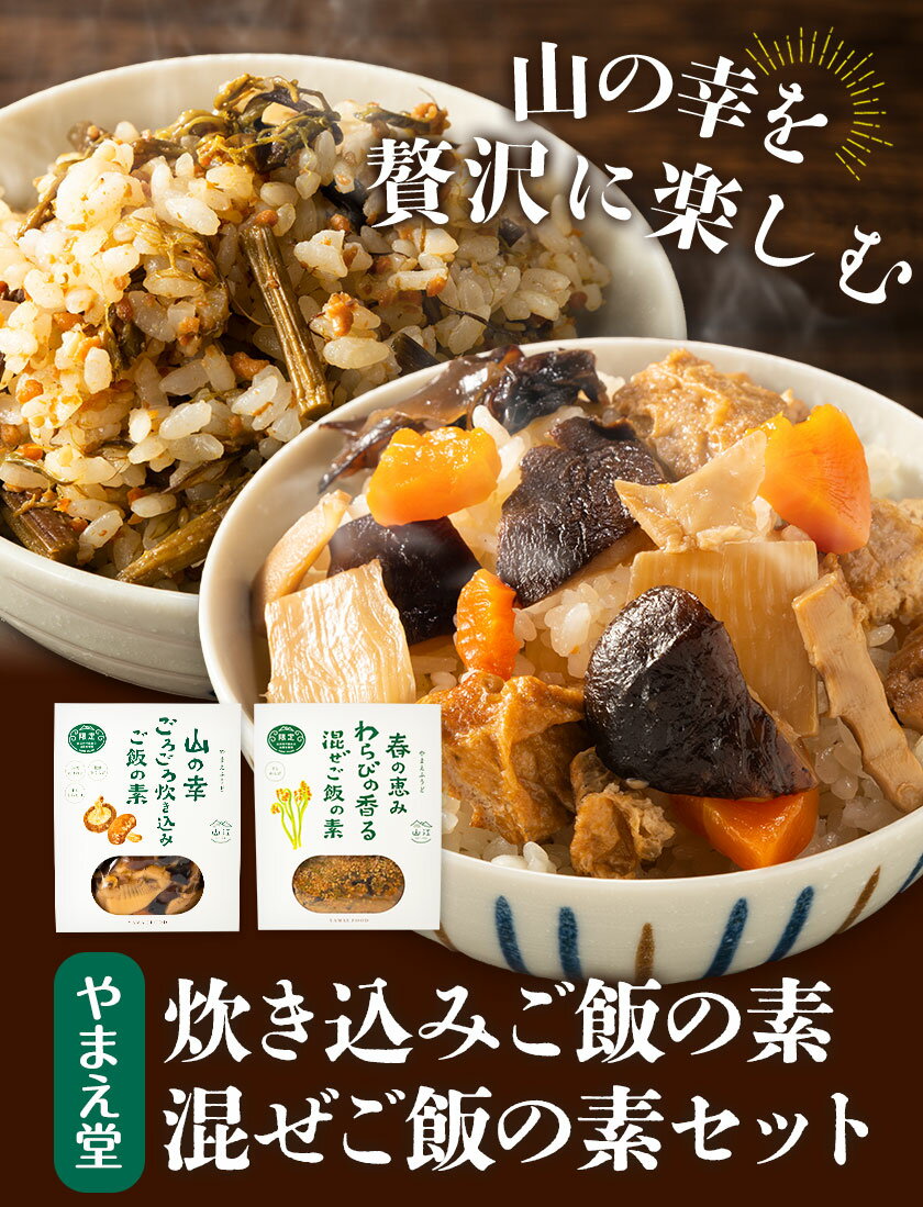 【ふるさと納税】炊き込みご飯の素 混ぜご飯の素セット 各250g×2個 有限会社 やまえ堂 《30日以内に出荷予定(土日祝除く)》山の幸 たけのこ 竹の子 筍 しいたけ きくらげ わらび 炊き込みご飯 混ぜ込みご飯 送料無料 サムネイル2
