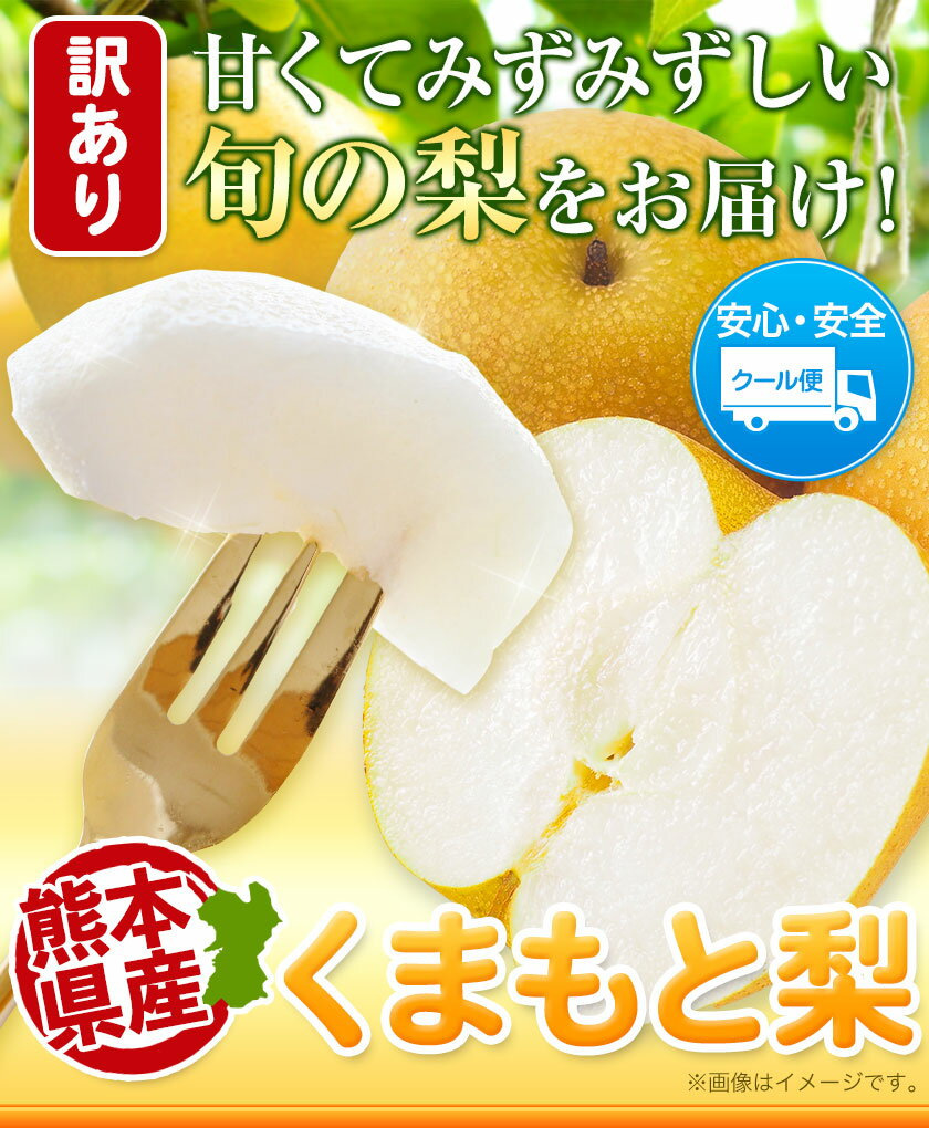 【ふるさと納税】＼2025年産先行予約／ くまもと 梨 訳あり 熊本県産 約2.5kg 3〜14玉 約4kg 5〜16玉 約5kg 6〜17玉 フルーツ 秋 クール便 《2025年8月下旬‐11月上旬頃出荷》なし 果物 ギフト ご贈答 旬の果物 幸水 豊水 秋麗 あきづき 甘太 新高 新興 あたご サムネイル3