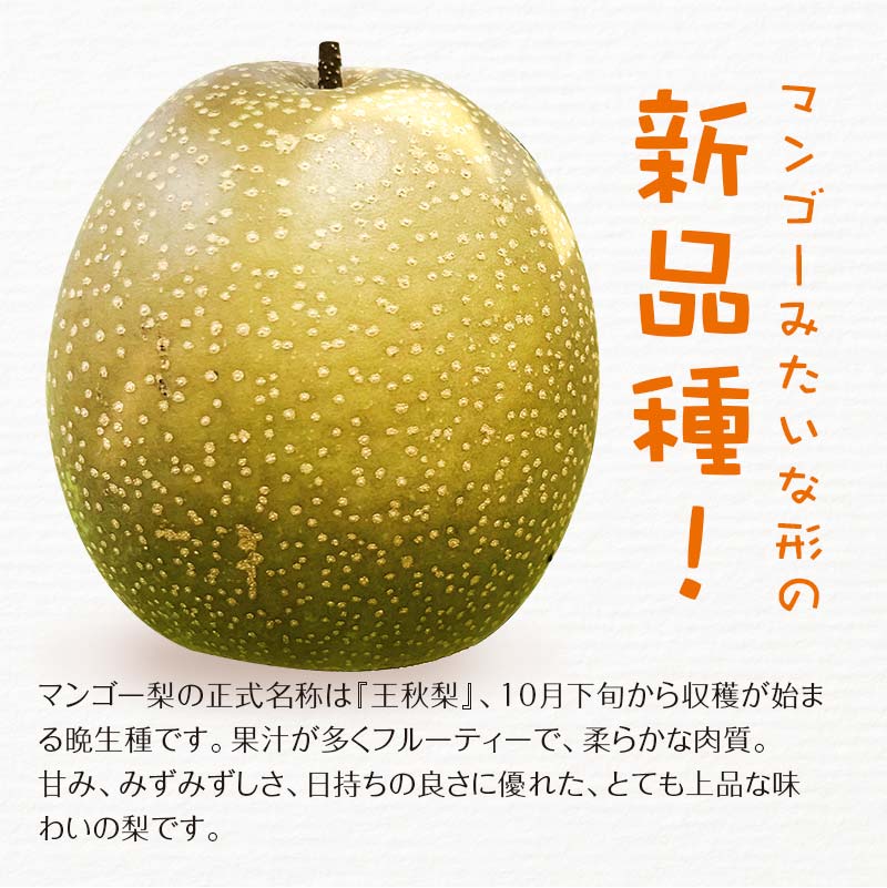 【ふるさと納税】《先行予約》 マンゴー梨（王秋梨） 約2.5kg 熊本県 球磨村 なし ナシ 和梨 和なし 和ナシ ブランド梨 フルーツ 梨 期間限定 果物 くだもの 旬の果物 デザート 数量限定 FKP9-652 サムネイル2
