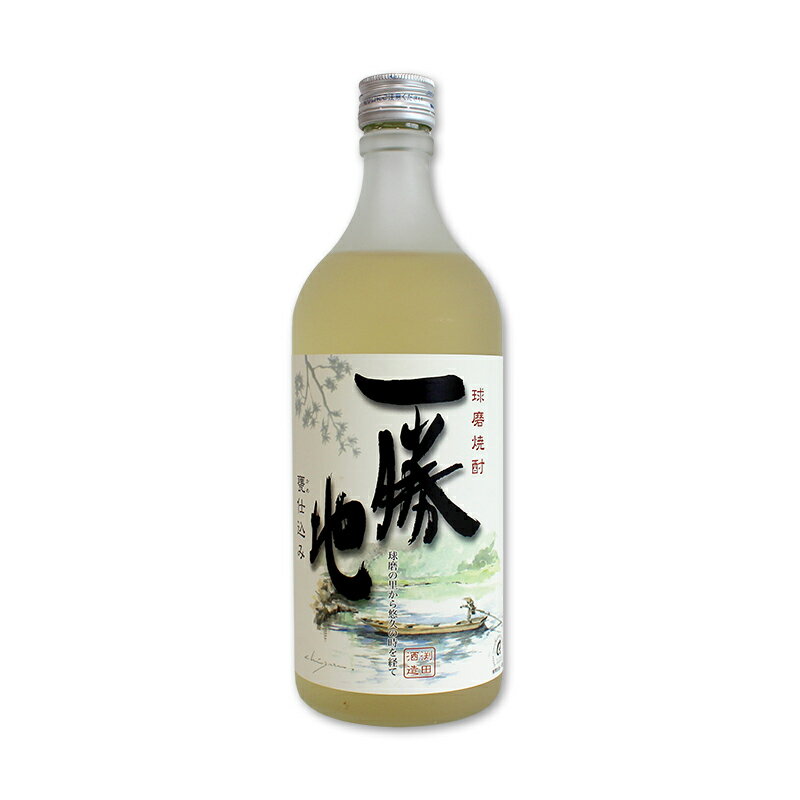 【ふるさと納税】球磨焼酎 一勝地 720ml (2本セット) 米焼酎 球磨村 熊本県 サムネイル2
