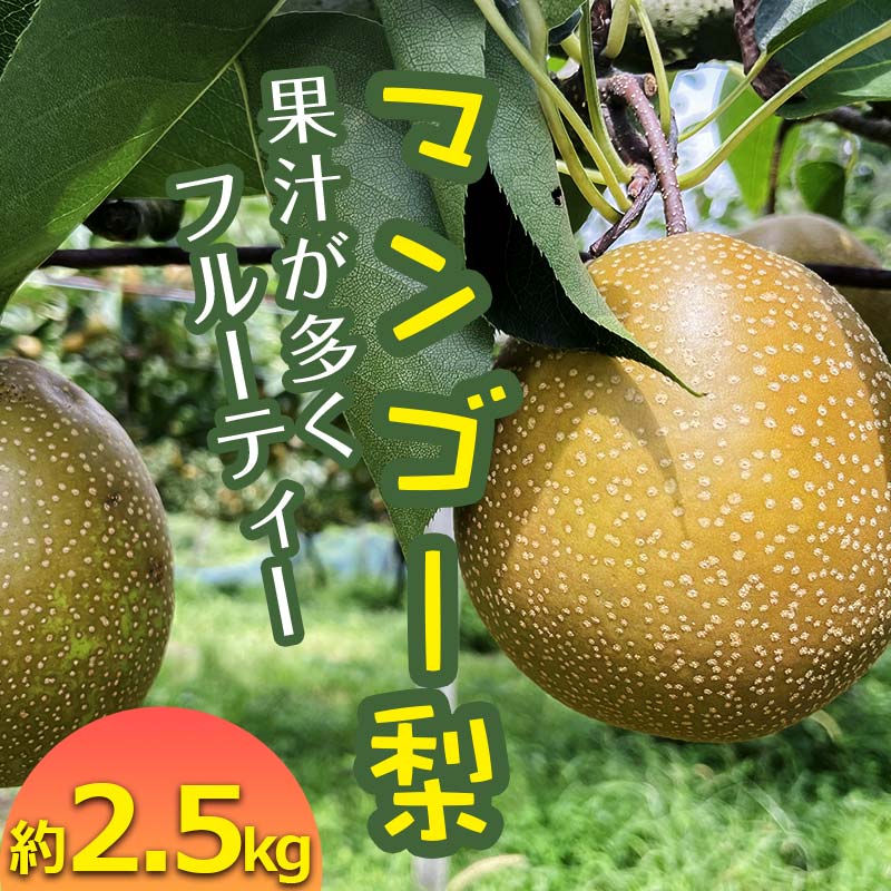 《先行予約》 マンゴー梨（王秋梨） 約2.5kg 熊本県 球磨村 なし ナシ 和梨 和なし 和ナシ ブランド梨 フルーツ 梨 期間限定 果物 くだもの 旬の果物 デザート 数量限定 FKP9-652
