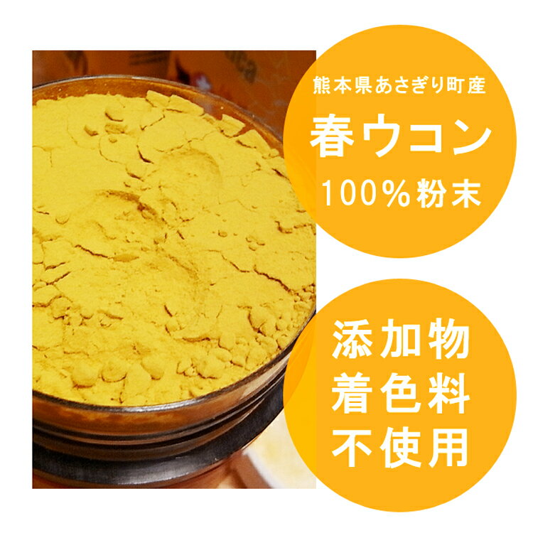 【ふるさと納税】春ウコン粉末 100g×3個　お届け時期：入金確認後14日前後 - 画像2