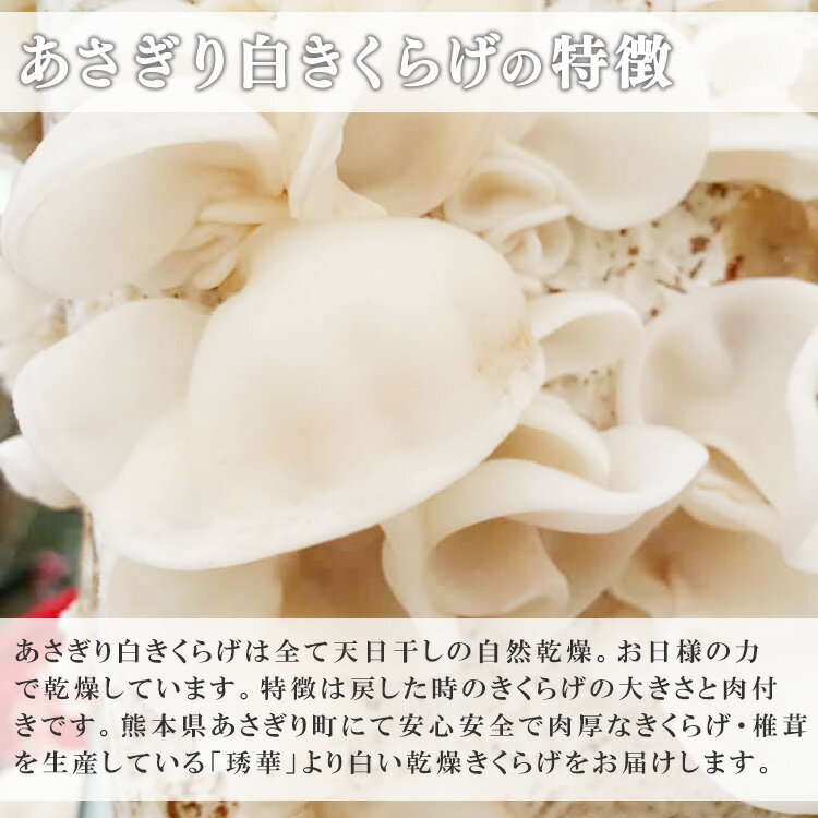 【ふるさと納税】熊本県産　白い乾燥きくらげ20g×3袋　お届け時期：入金確認後20日前後　【キクラゲ / 木耳 / 国産】 - 画像2