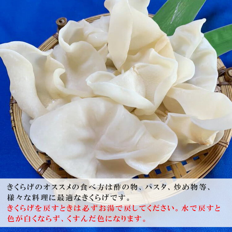 【ふるさと納税】熊本県産　白い乾燥きくらげ20g×3袋　お届け時期：入金確認後20日前後　【キクラゲ / 木耳 / 国産】 - 画像3