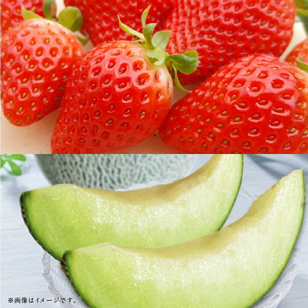 【フルーツ2回定期便】 球磨のいちご（1kg）・アンデスメロン（5kg） ゆうべに 苺 イチゴ メロン めろん くだもの 果物 果実 フルーツ 冷蔵 熊本県産 国産 九州 熊本県 あさぎり町 送料無料 【2026年1月中旬～5月下旬迄順次発送予定】