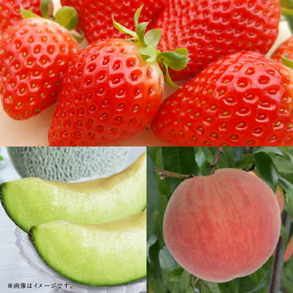 【フルーツ3回定期便】 球磨のいちご（1kg）・桃（1kg）・アンデスメロン（5kg） ゆうべに 苺 イチゴ メロン めろん もも モモ くだもの 果物 果実 フルーツ 冷蔵 熊本県産 国産 九州 熊本県 あさぎり町 送料無料 【2026年1月中旬～6月下旬迄順次発送予定】