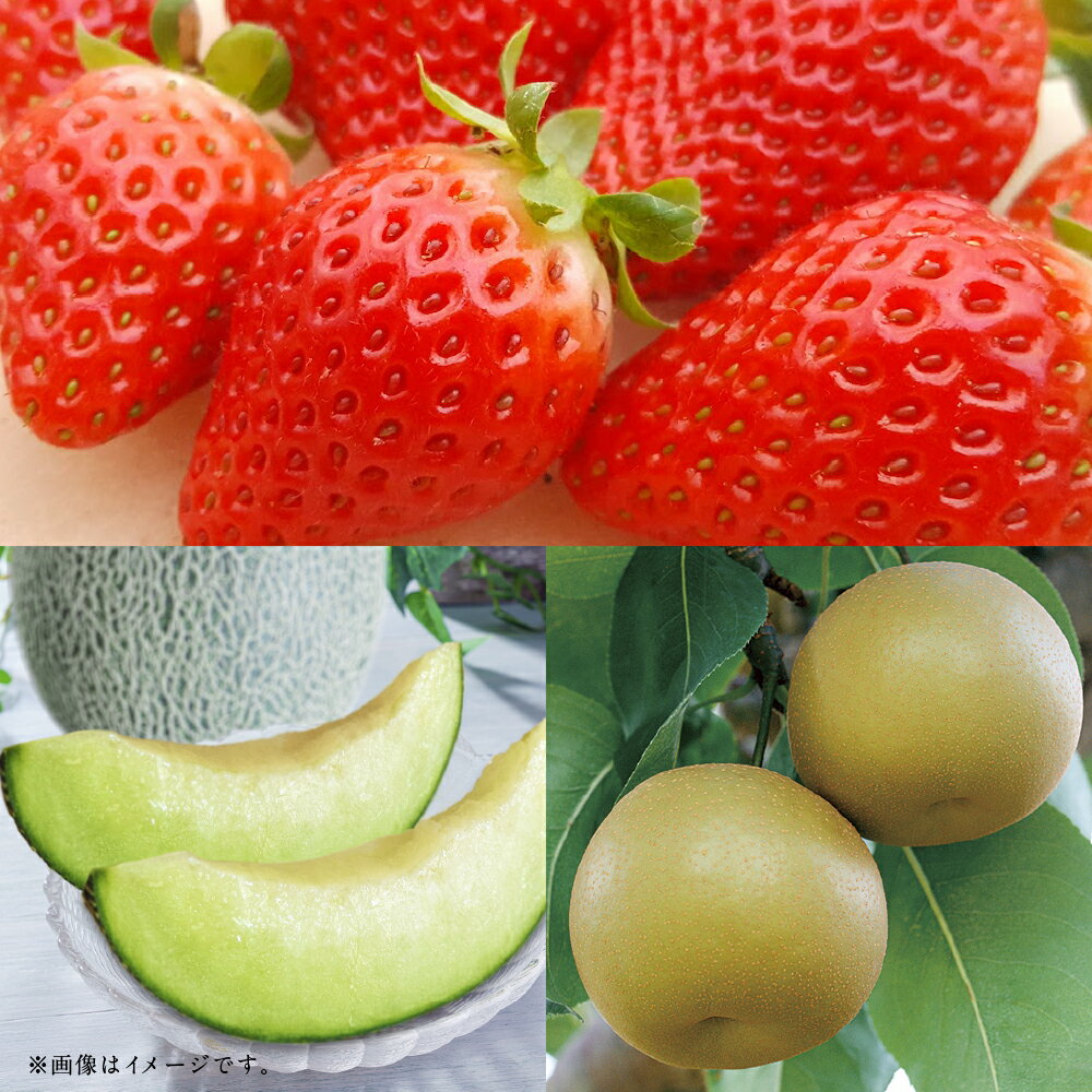 【フルーツ3回定期便】 球磨のいちご（1kg）・アンデスメロン（5kg）・梨（5kg） ゆうべに 苺 イチゴ メロン めろん なし ナシ 大玉 くだもの 果物 果実 フルーツ 冷蔵 熊本県産 国産 九州 あさぎり町 送料無料 【2026年1月中旬～10月上旬迄順次発送予定】