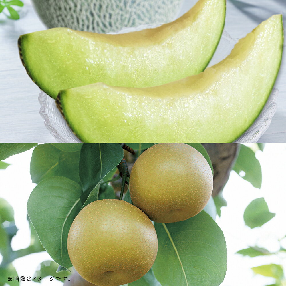【フルーツ2回定期便】　アンデスメロン（5kg）・梨（5kg） メロン めろん なし ナシ 大玉 くだもの 果物 果実 フルーツ 冷蔵 熊本県産 国産 九州 熊本県 あさぎり町 送料無料 【2026年5月上旬～10月上旬迄順次発送予定】