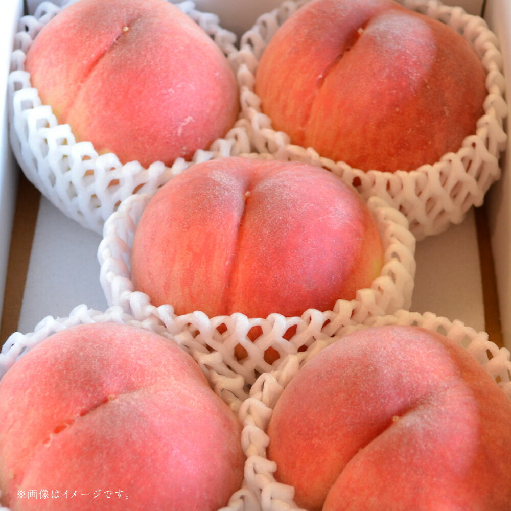 【ふるさと納税】【フルーツ3回定期便】 アンデスメロン（5kg）・桃（1kg）・梨（5kg） メロン めろん もも モモ なし ナシ 大玉 くだもの 果物 果実 フルーツ 熊本県産 国産 九州 熊本県 あさぎり町 送料無料 【2026年5月上旬～10月上旬迄順次発送予定】 サムネイル3