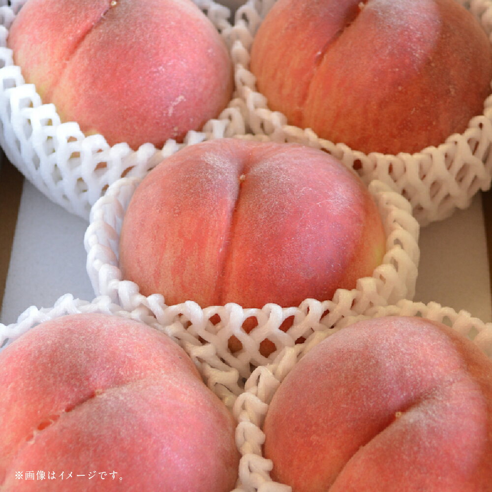 【ふるさと納税】【フルーツ2回定期便】 桃（1kg）・梨（5kg） もも モモ なし ナシ 大玉 くだもの 果物 果実 フルーツ 熊本県産 国産 九州 熊本県 あさぎり町 送料無料 【2026年5月下旬～10月上旬迄順次発送予定】 サムネイル2