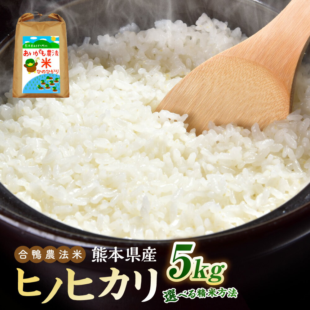 令和7年産 合鴨農法米 ヒノヒカリ 白米 5kg×1袋 （ 精米（白米）／ 玄米／ 精米（7分づき）／ 精米（5分づき）） 【選べる種類】 お米 米 ライス 弁当 お弁当 おにぎり 炭水化物 農薬・化学肥料不使用 合鴨農法 熊本県産 熊本県 あさぎり町 常温 送料無料