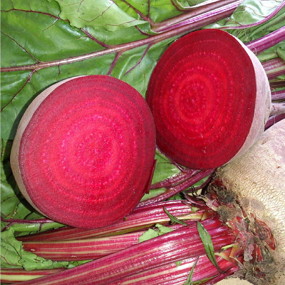 自社農園栽培 生ビーツ（1kg/2kg/5kg）生ビーツ ビーツ 野菜 やさい 健康 サラダ 酢の物 スムージー 美容 食物 料理 ＜選べる容量＞ 冷蔵 国産 九州 熊本県 あさぎり町 送料無料