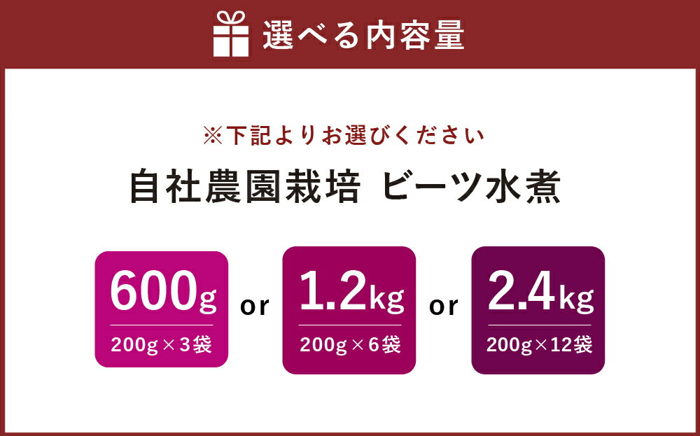 【ふるさと納税】＜選べる内容量＞自社農園栽培 ビーツ水煮 計600g（200g×3袋） / 計1.2kg（200g×6袋） / 計2.4kg（200g×12袋） ビーツ レトルトパウチ 野菜 健康 美容 リン ナトリウム マグネシウム カリウム 鉄 カルシウム 国産 九州 熊本県産 あさぎり町 送料無料 - 画像2