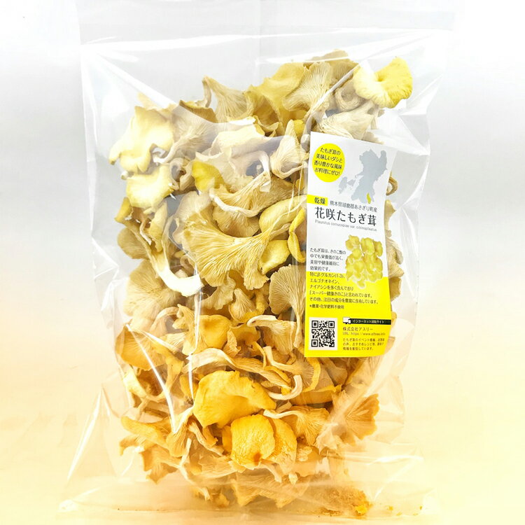 【ふるさと納税】うま味が魅力の　「花咲たもぎ茸」(乾燥タイプ)100g×1袋　たもぎ茸 乾燥 きのこ【お届け時期：入金確認後2ヶ月前後】 - 画像2