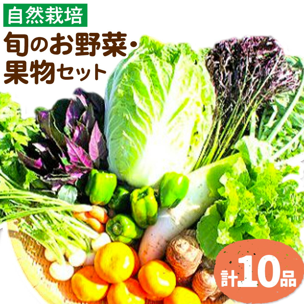 野菜 果物 詰め合わせ 自然栽培 福田果樹園 旬 セット 天草 苓北 熊本 送料無料《90日以内に出荷予定(土日祝除く)》熊本県 苓北町