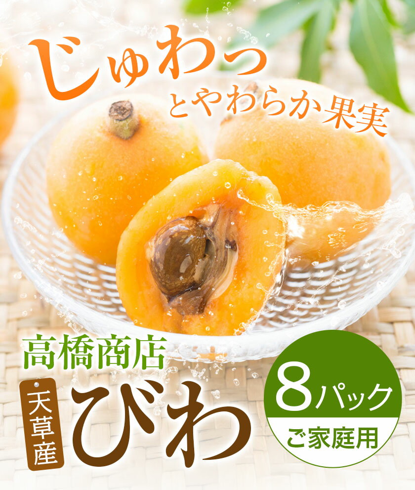 【ふるさと納税】先行予約 天草産 びわ 8パック 家庭用 高橋商店《2026年5月中旬-6月中旬頃出荷》熊本県 苓北町 フルーツ 枇杷 柑橘 果物【配送不可地域あり】 サムネイル3