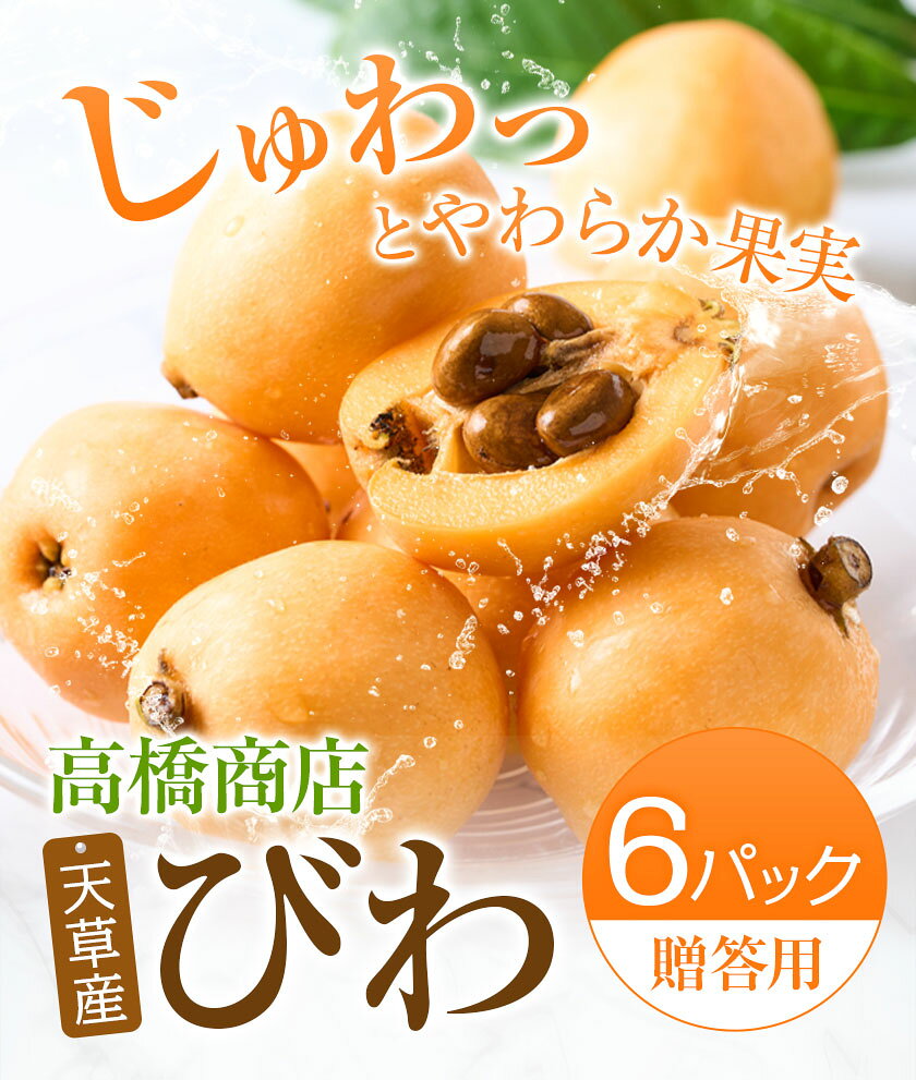 【ふるさと納税】先行予約 天草産 びわ 6パック 贈答用 高橋商店《2026年5月中旬-6月中旬頃出荷》熊本県 苓北町 フルーツ 枇杷 柑橘 果物【配送不可地域あり】 サムネイル3