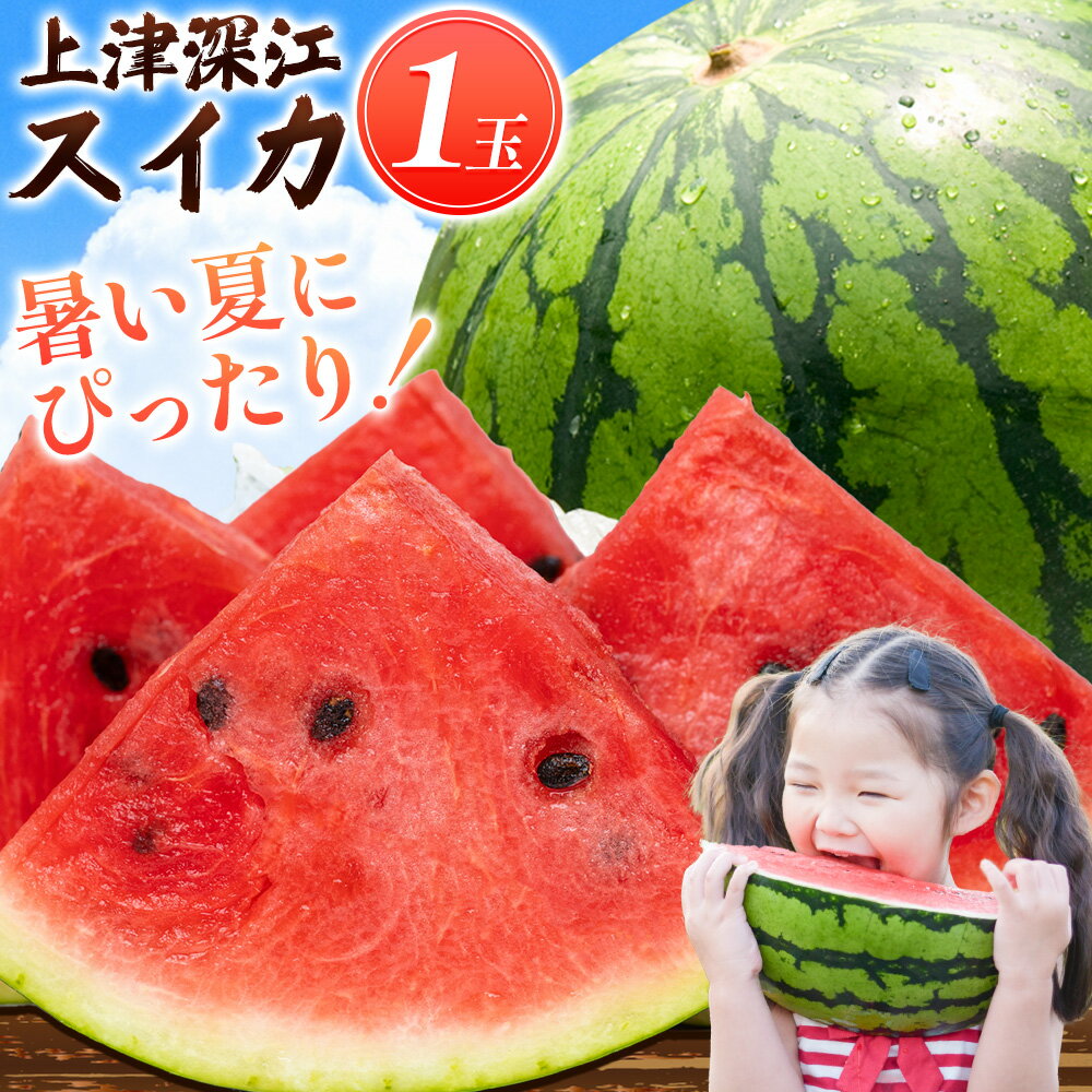 先行予約 スイカ 天草産 上津深江 スイカ 1玉《2026年6月末-8月中旬頃出荷》熊本県 苓北町 フルーツ 果物 くだもの すいか 西瓜 盆すいか 上津深江スイカ 高橋商店【配送不可地域あり】