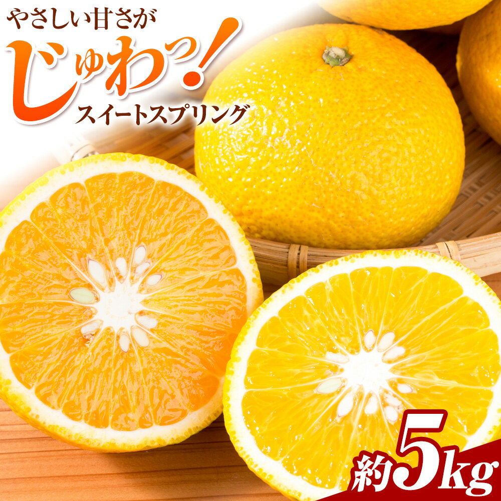 先行予約 みかん スイートスプリング 5kg 高橋商店《11月下旬-2月中旬頃出荷》熊本県 苓北町 柑橘 かんきつ 果物 フルーツ 送料無料 スイート スプリング