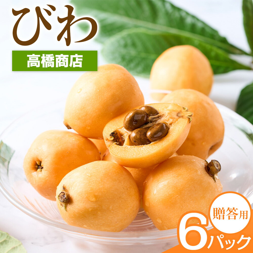 先行予約 天草産 びわ 6パック 贈答用 高橋商店《2026年5月中旬-6月中旬頃出荷》熊本県 苓北町 フルーツ 枇杷 柑橘 果物【配送不可地域あり】